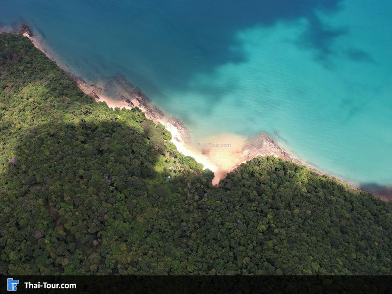 แหลมนกออก