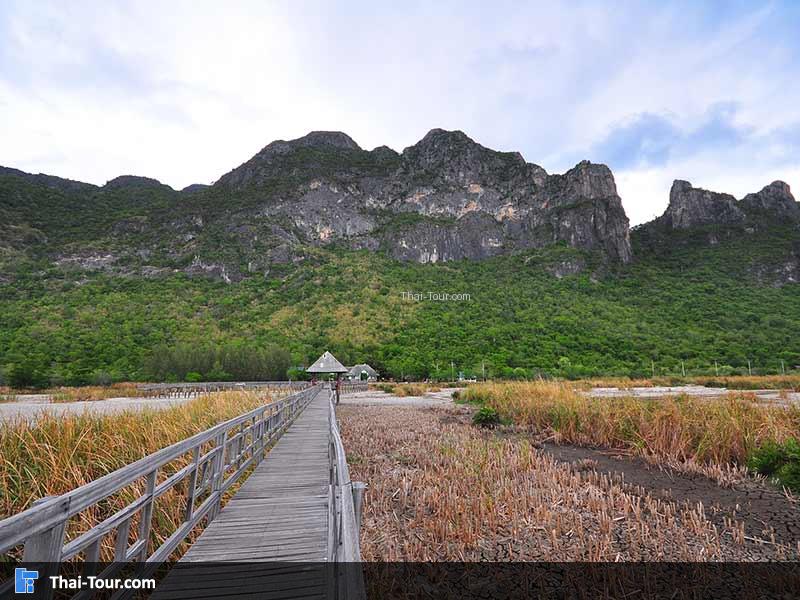 ศูนย์ศึกษาธรรมชาติบึงบัว