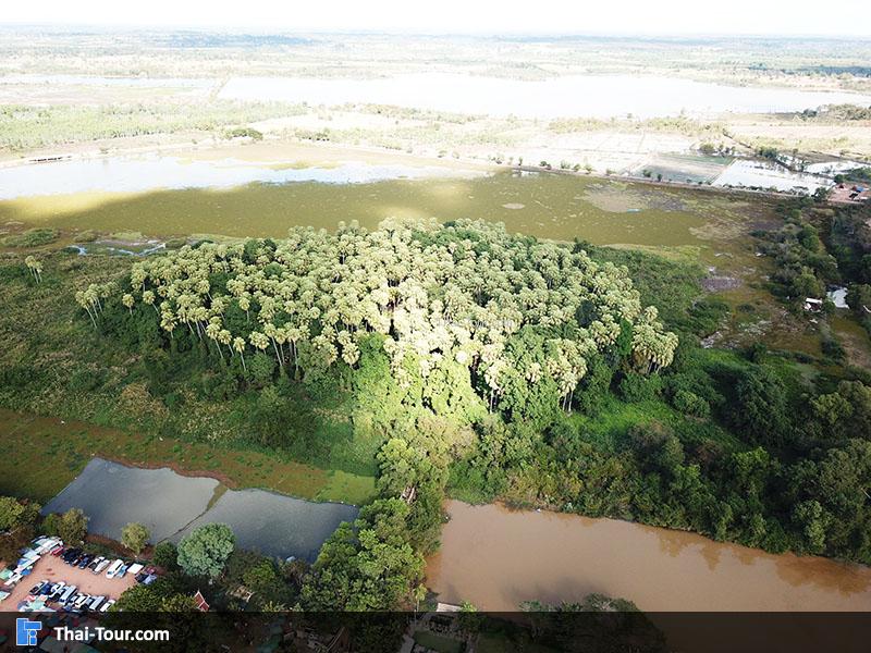 คำชะโนด