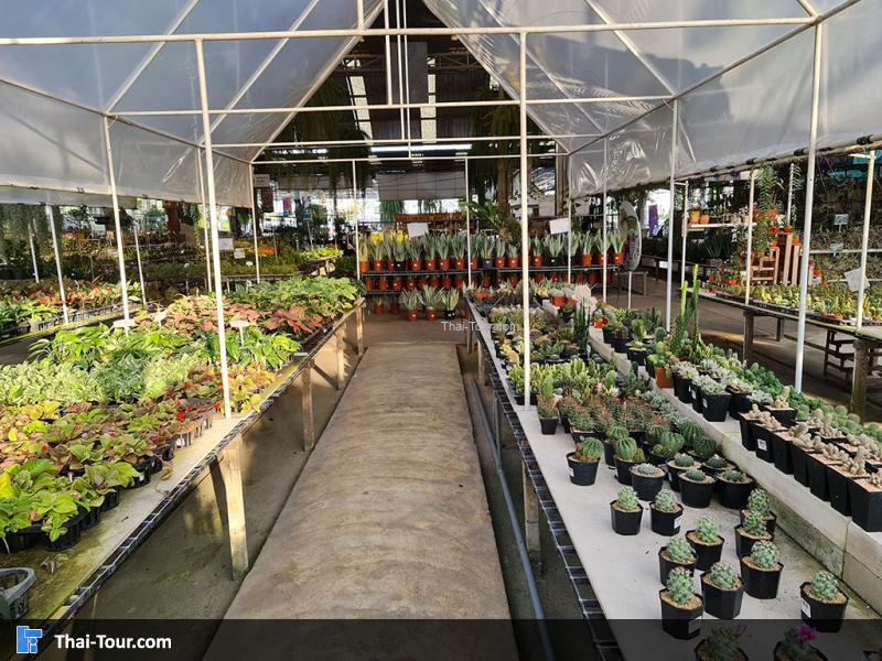 แอร์ออร์คิดส์ แลบ