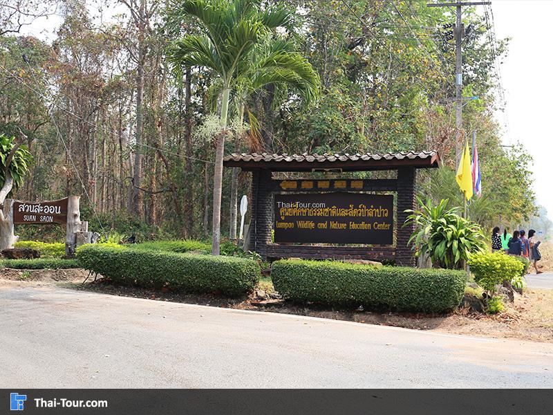 สถานีศึกษาธรรมชาติ และ สัตว์ป่าลำปาว (สวนสะออน)