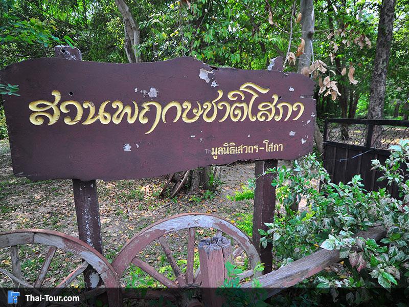 สวนพฤกษชาติโสภา