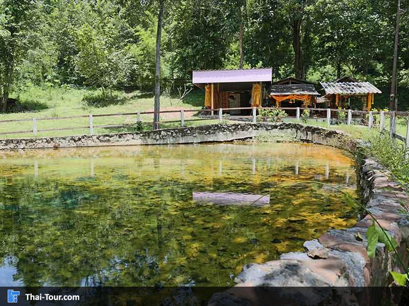 น้ำพุร้อนหนองหญ้าปล้อง