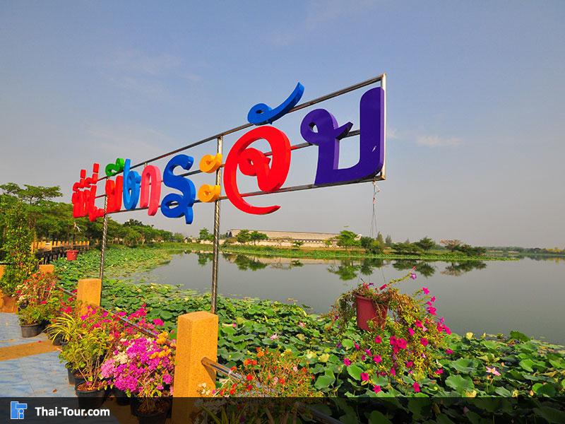 บึงกระจับ