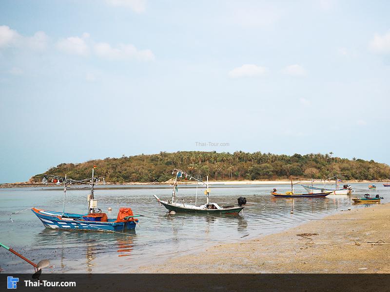 เกาะมัดหลัง