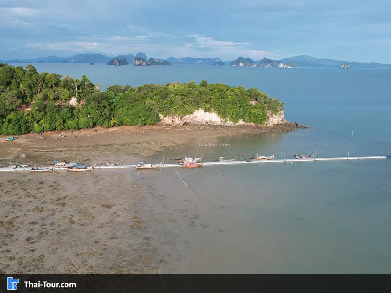 หาดป่าทราย