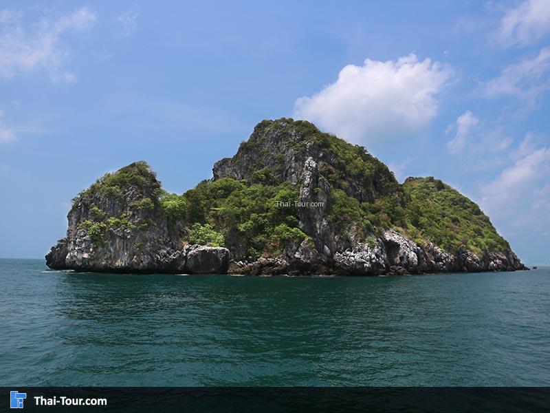 เกาะแรด