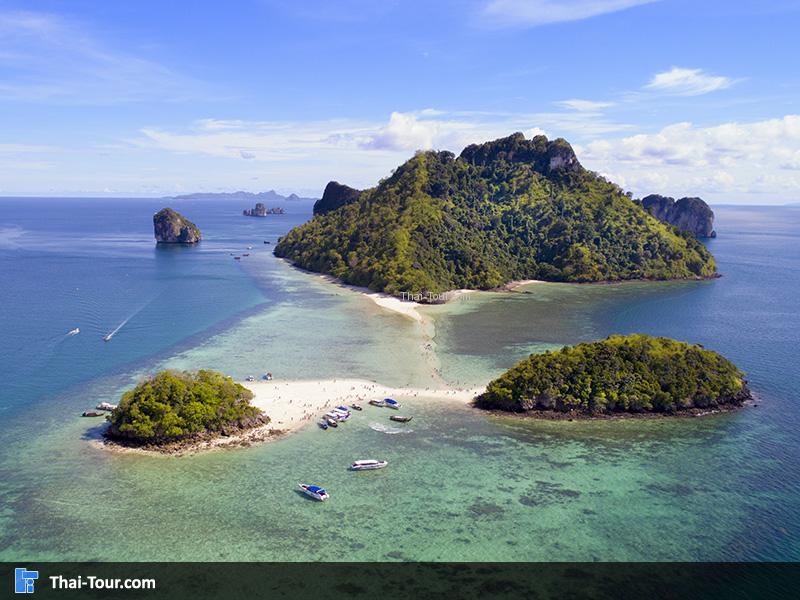 ทะเลแหวก