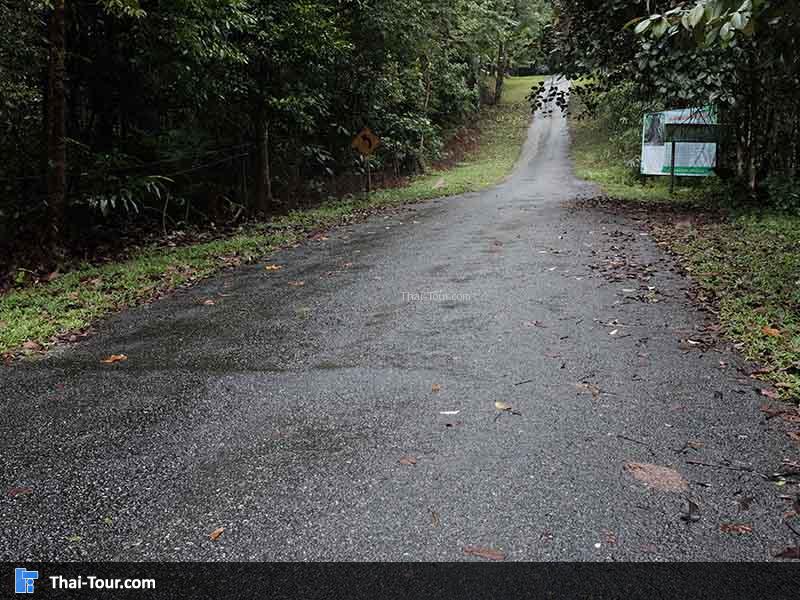 เนินพิศวง สุคิริน