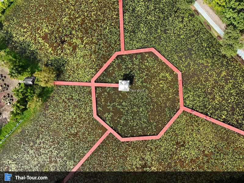 อุทยานบัว