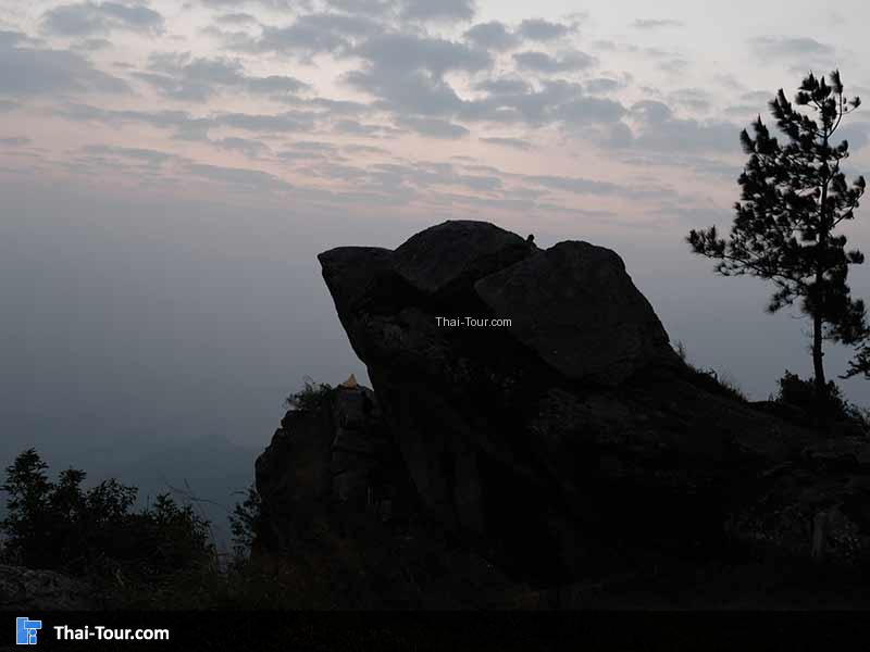 ยอดเขานารายณ์