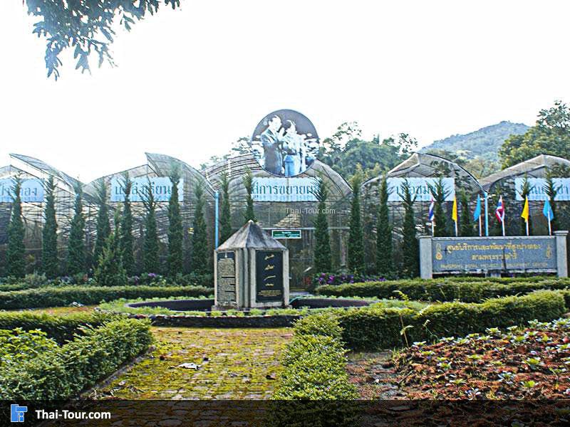 โครงการหลวงปางตอง