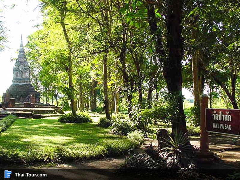 วัดป่าสัก