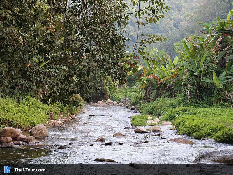 อุทยานแห่งชาติแจ้ซ้อน