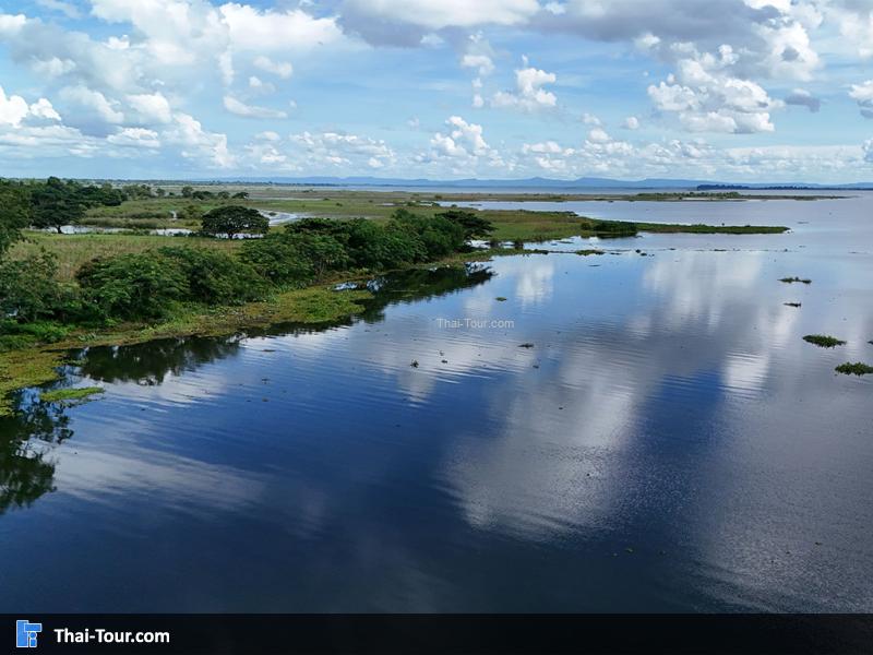 หนองหาร