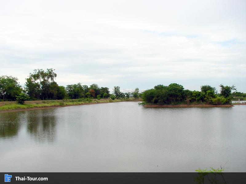 หนองสาหร่าย