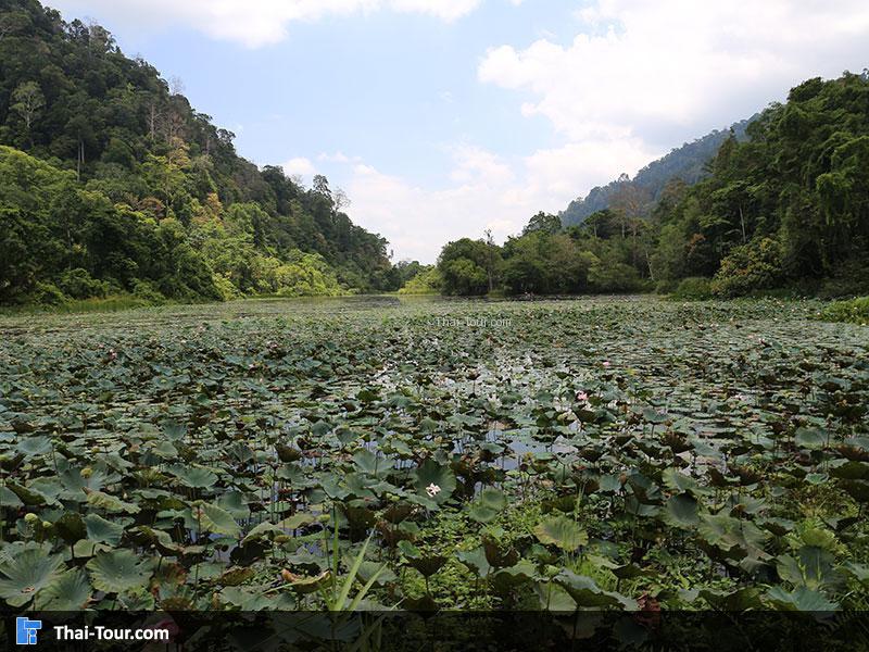 ทะเลบัน