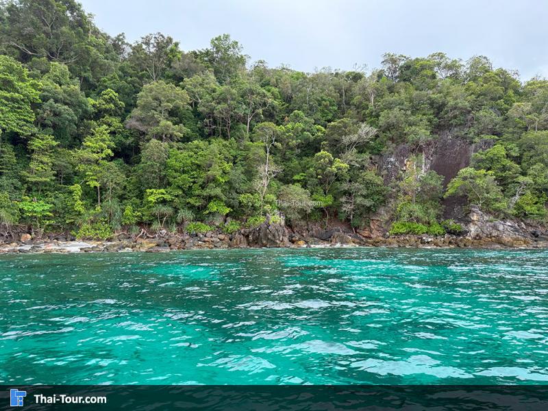 เกาะยาง