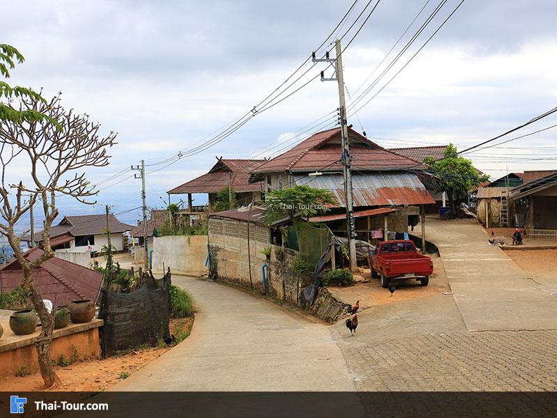 บ้านอาข่าป่ากล้วย