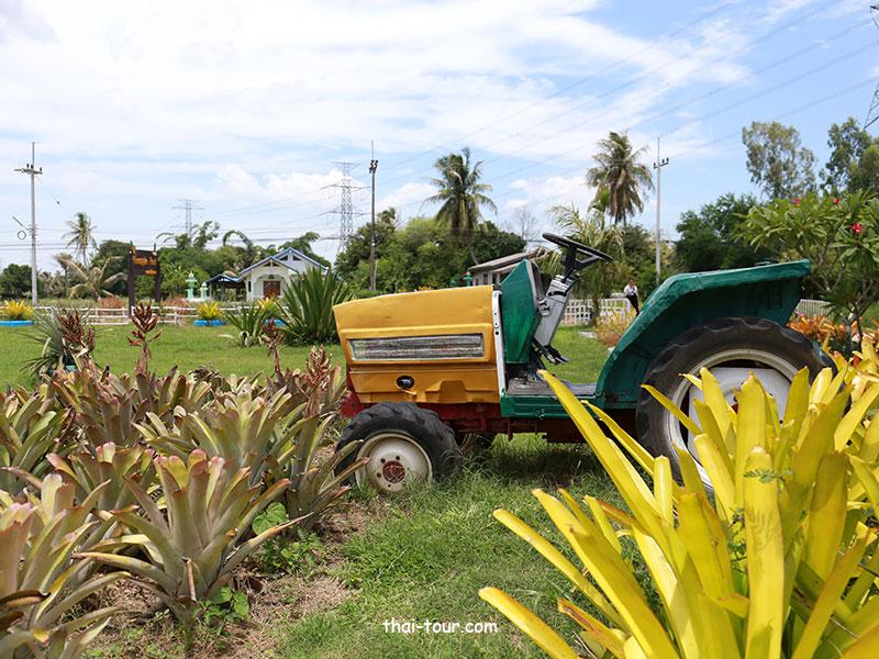 ไร่ทิปโก้ อุทยานสับปะรด