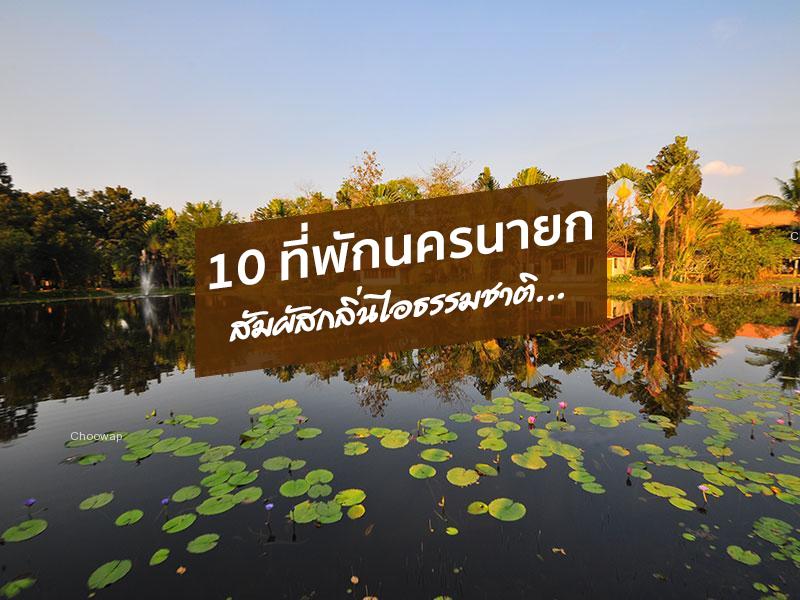10 ที่พักนครนายก สัมผัสกลิ่นไอธรรมชาติ