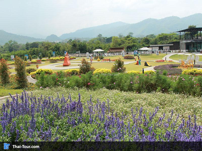 The Bloom By TV Pool