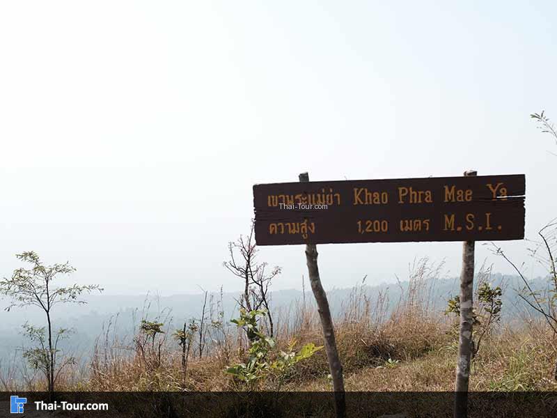 ยอดเขาพระแม่ย่า