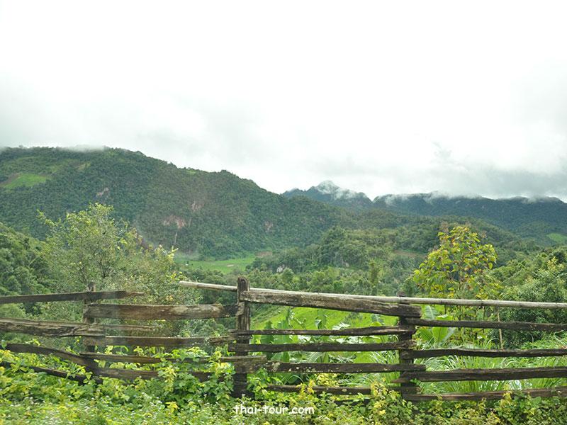 ปางมะผ้า