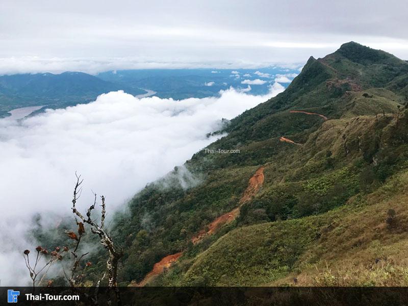 ดอยผาตั้ง