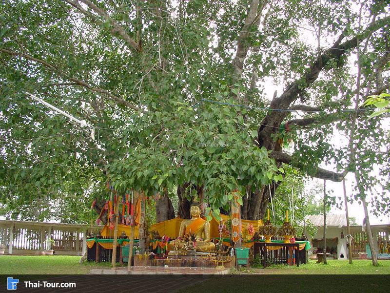 วัดต้นโพธิ์ศรีมหาโพธิ์