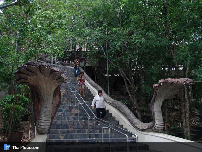 วัดหนองหอย