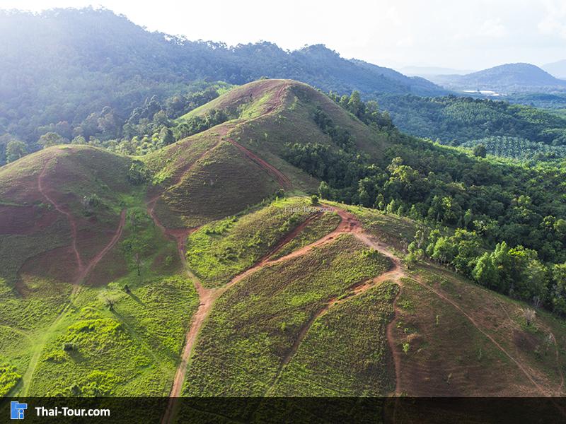 ภูเขาหญ้าหรือเขาหัวล้าน