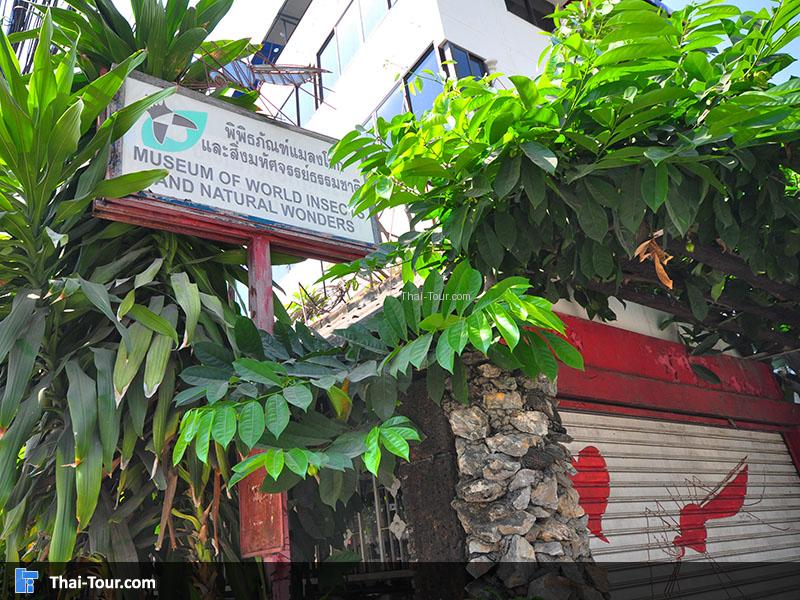 พิพิธภัณฑ์แมลงโลกและสิ่งมหัศจรรย์ธรรมชาติ