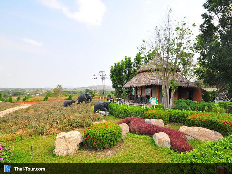 หัวหินซาฟารี แอนด์ แอดเวนเจอร์ พาร์ค