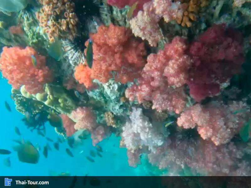 ร่องน้ำจาบัง