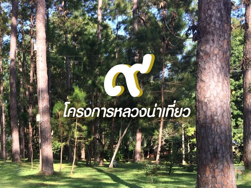 9 โครงการหลวง ภาคเหนือ น่าเที่ยว