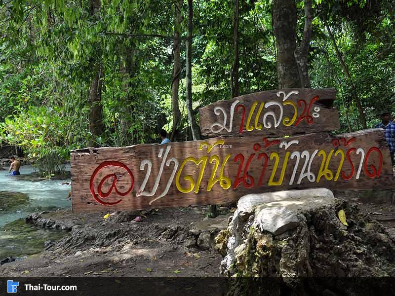 ป่าต้นน้ำบ้านน้ำราด