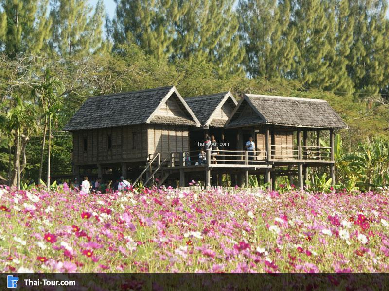 จิม ทอมป์สัน ฟาร์มทัวร์