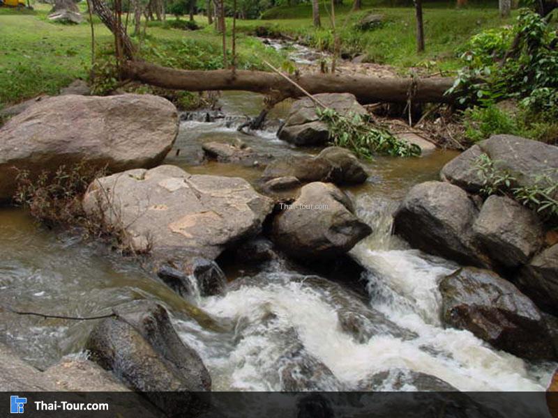 โป่งเดือดป่าแป๋