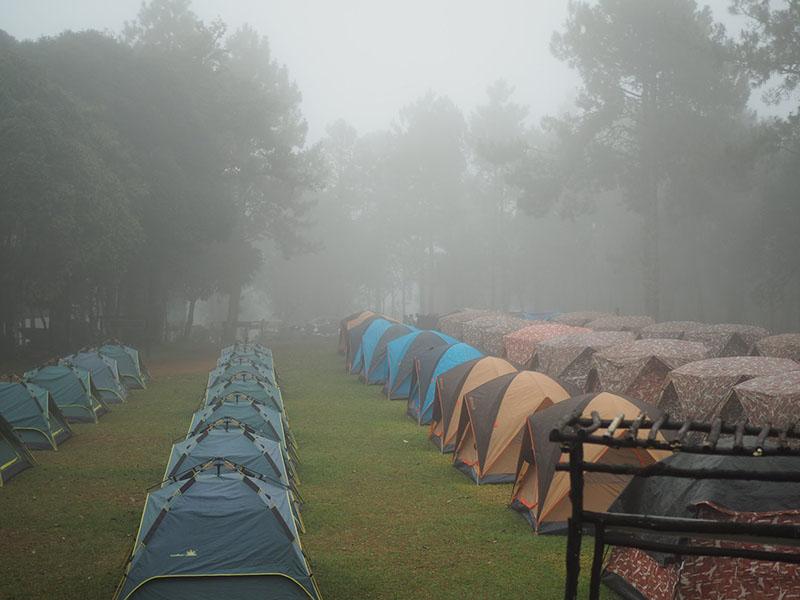 ดอยผาหลวง ผ้าห่มปก