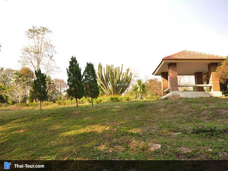 สวนป่าทุ่งเกวียน