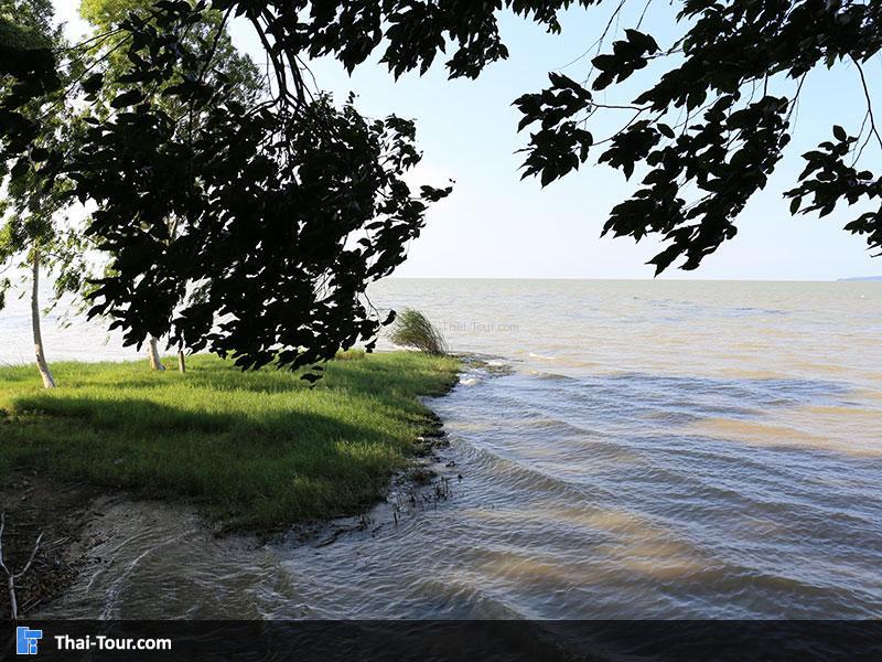 แหลมจองถนน