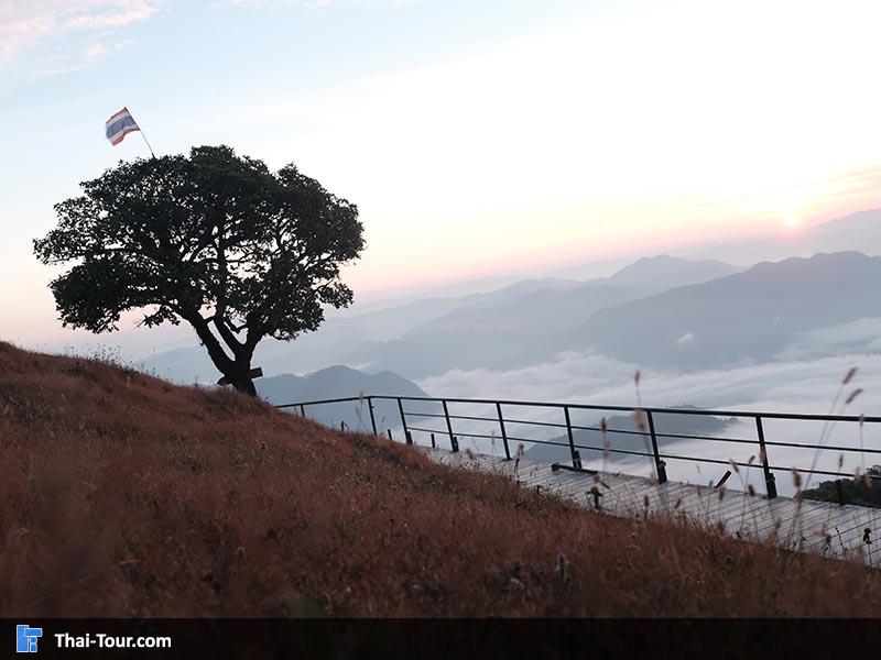 ดอยพุยโค