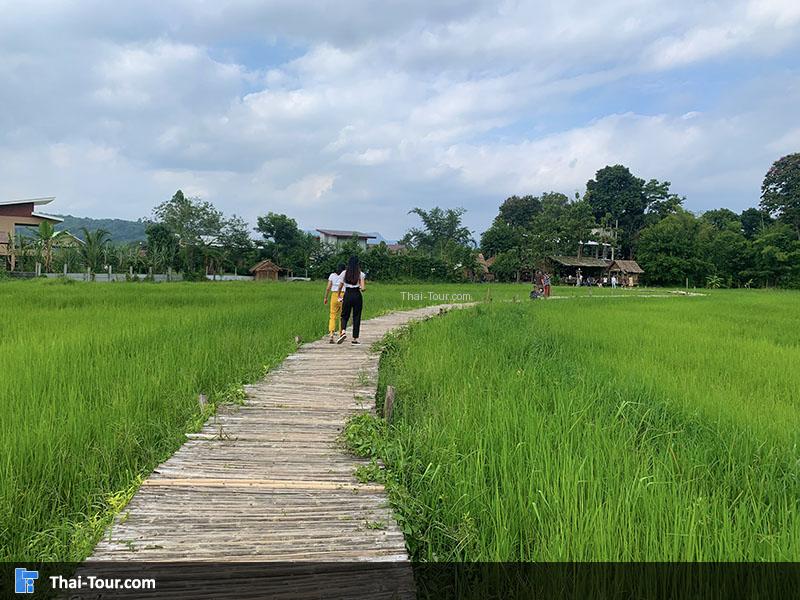 สะพานทุ่งนามุ้ย