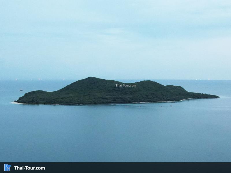 เกาะแรด แสมสาร