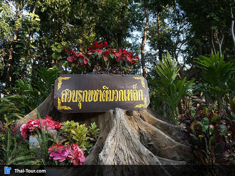 สวนรุกขชาติมวกเหล็ก