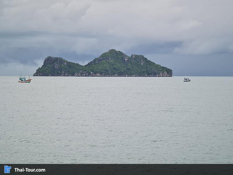 เกาะแตน