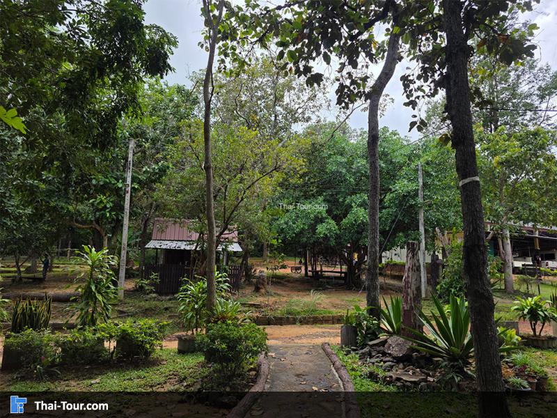 อุทยานแห่งชาติภูผาเหล็ก