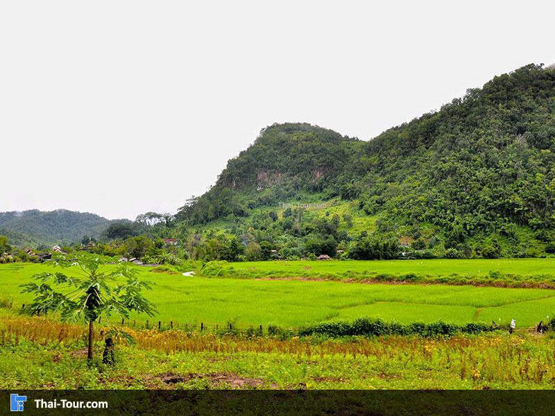 บ้านแม่ละนา