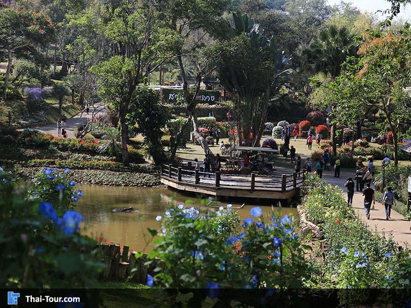 สวนแม่ฟ้าหลวง